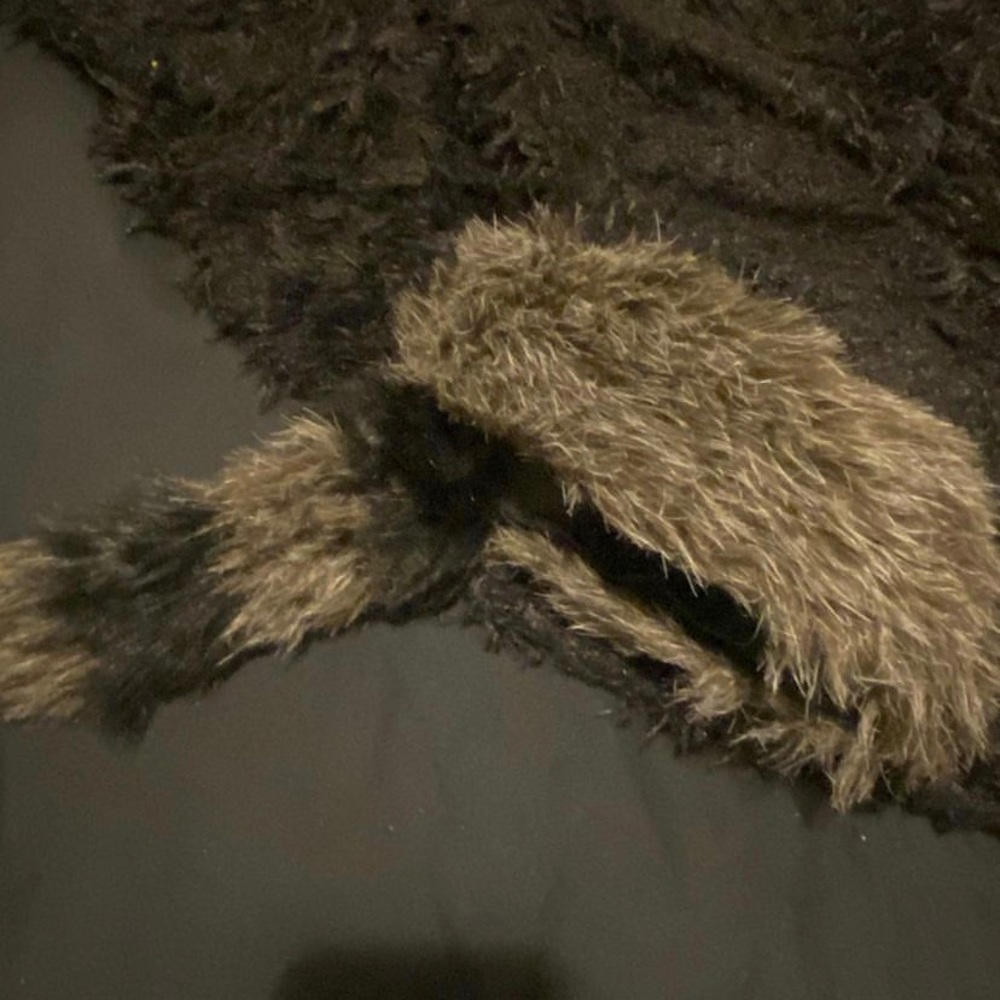 furr raccoon hat